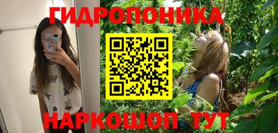 мяу мяу мука Краснознаменск