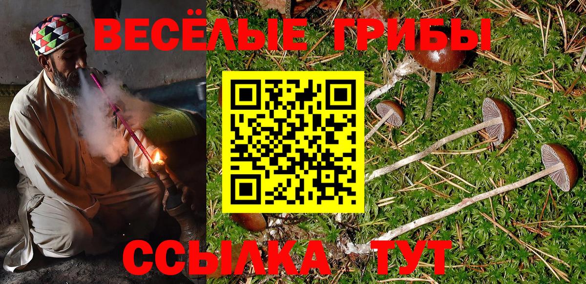 Чернушка  Галлюциногенные грибы мицелий  Галлюциногенные грибы ЛСД  Вход с VPN 