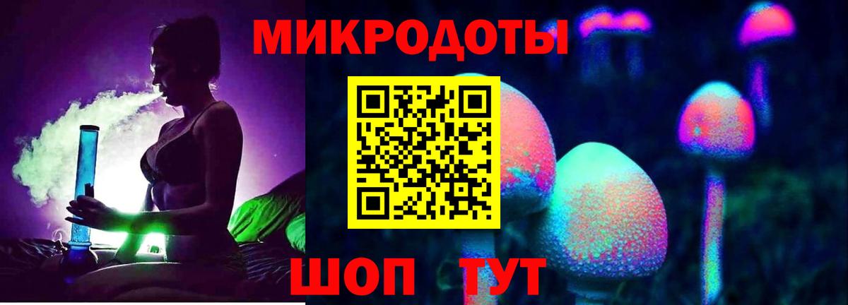 Псилоцибиновые грибы Psilocybe Чернушка